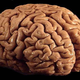 Illustration for article titled University of Texas Doesnt Know Where its Brains are